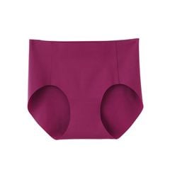 Quần lót nữ lạnh Tuche Gunze 1000