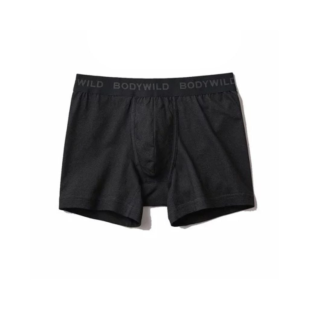 Quần sịp nam Body Wild Gunze BWB001A