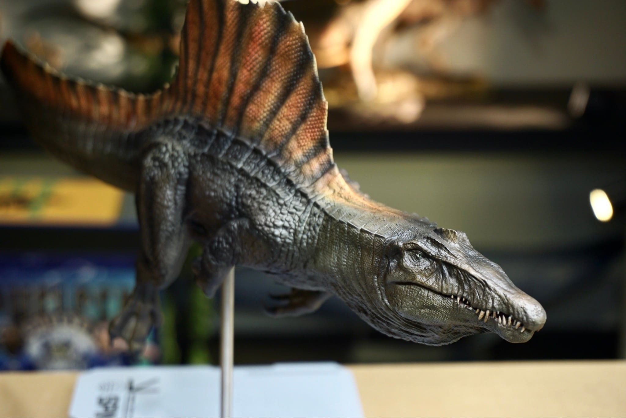  Mô hình Khủng long Spinosaurus Dino dream studio. 