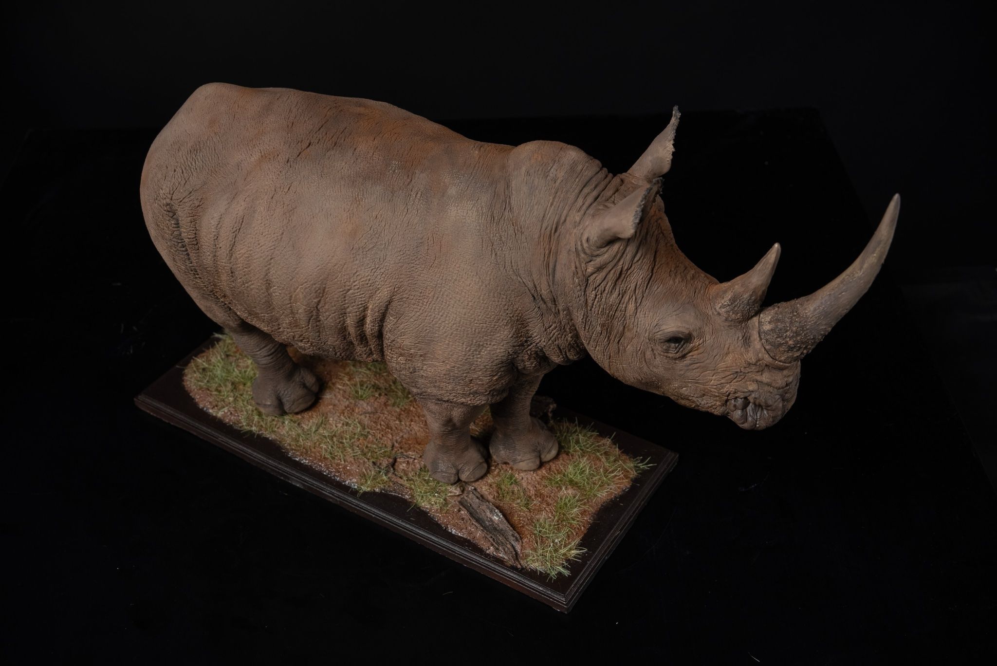  Mô hình động vật Tê giác trắng tỷ lệ 1/10 & 1/15 Declay studio. 