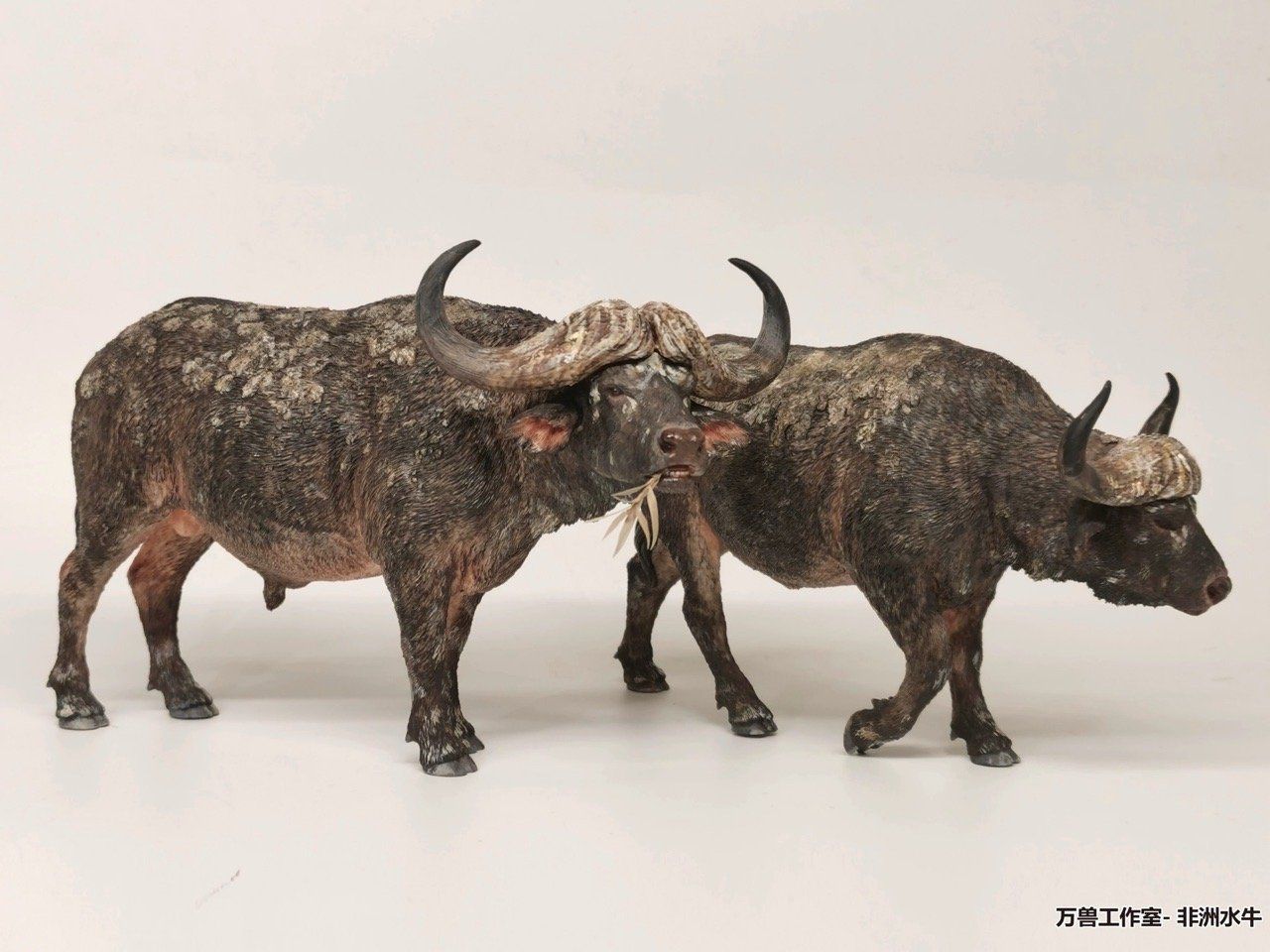  Mô hình Trâu rừng châu phi cape buffalo - Wanshou studio. 