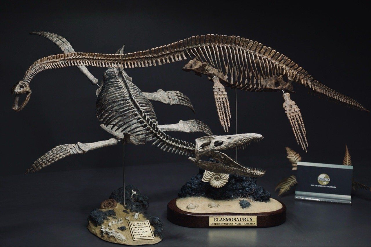  Mô hình xương Predator X By Yan tỷ lệ 1/18 | 𝐕𝐈𝐃𝐈𝐍𝐎.𝐕𝐍. 