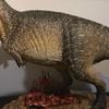  Mô hình khủng long giganotosaurus tỷ lệ 1/18 chính hãng AOKHAN studio. 