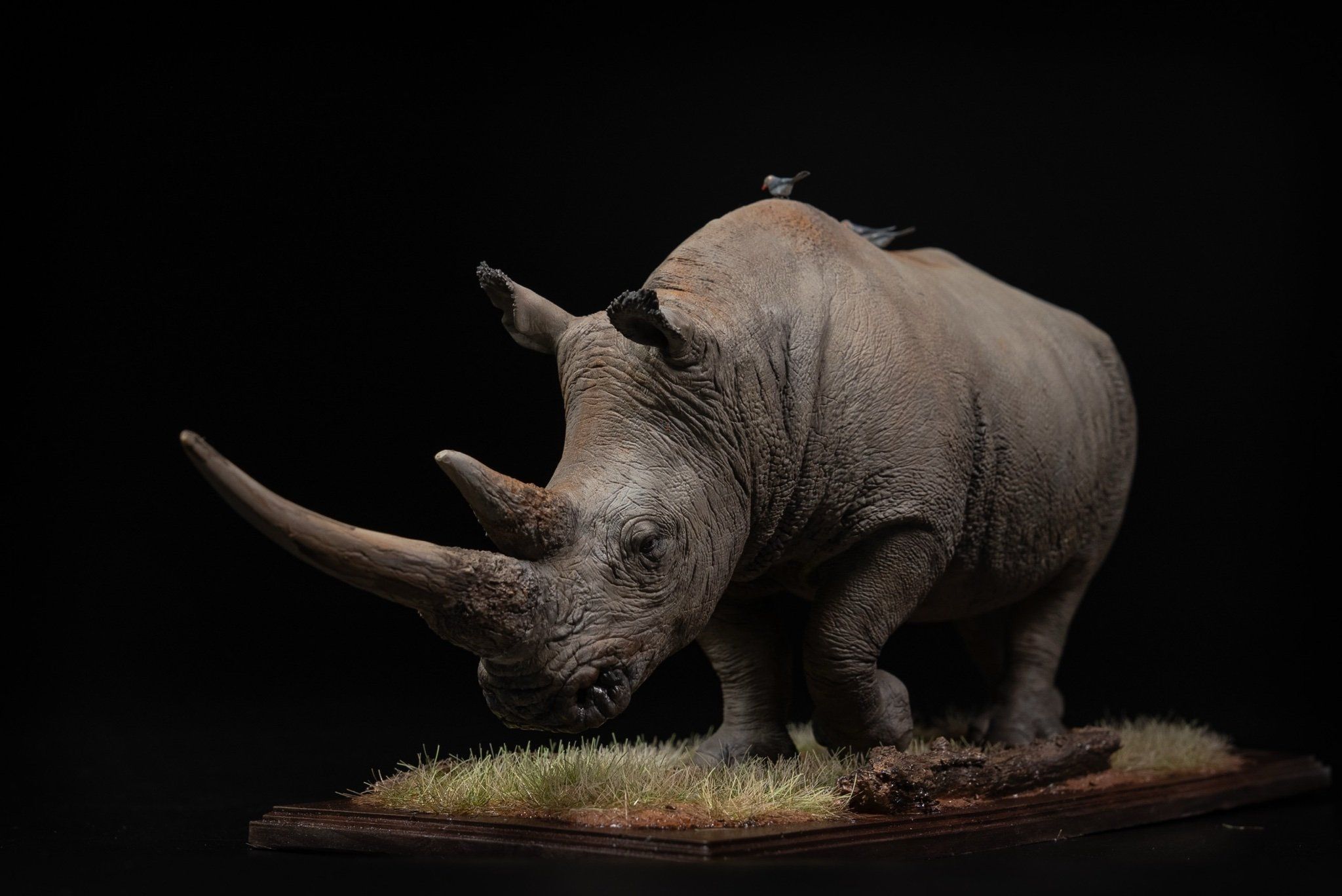  Mô hình động vật Tê giác trắng tỷ lệ 1/10 & 1/15 Declay studio. 