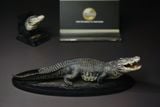  Mô hình cá sấu Utan 1964 the Crocs Man studio | .. 