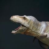  Mô hình T.rex hãng showanna studio tỷ lệ 1/35   | 𝐕𝐈𝐃𝐈𝐍𝐎.𝐕𝐍. 