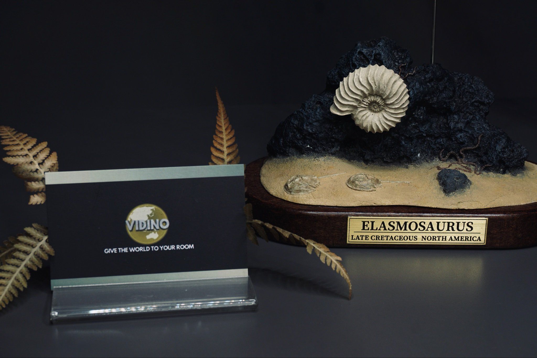  Mô hình xương khủng long Elasmosaurus by yan sculpt 1/18 | 𝐕𝐈𝐃𝐈𝐍𝐎.𝐕𝐍. 