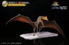  Mô hình Quetzalcoatlus Dino Dream studio. 