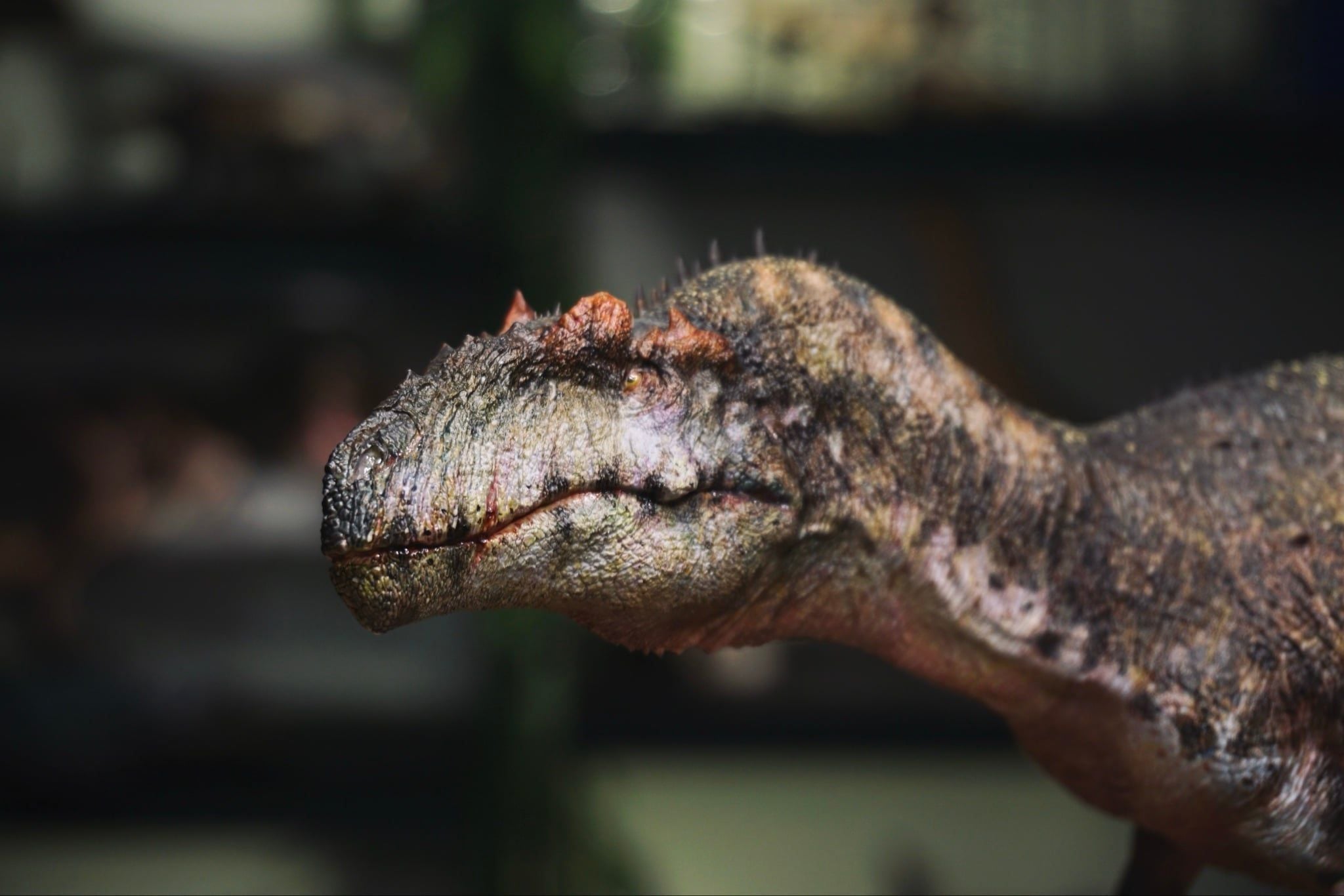  Mô hình Allosaurus sing Studio tỷ lệ 1/18. 