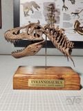  Mô hình xương Đầu trex tỷ lệ 1/18 của Mr yan. 
