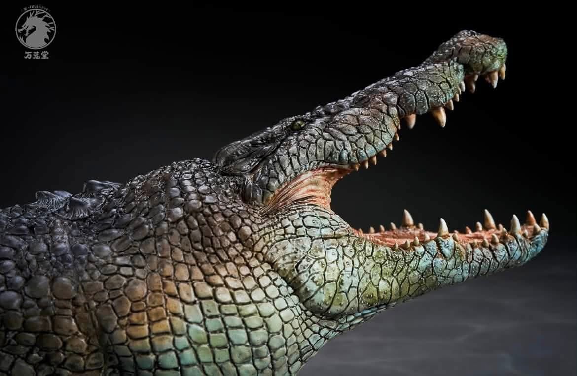  Mô hình cá sấu nước mặn Wdragon Studio tỷ lệ 1/12   | .. 