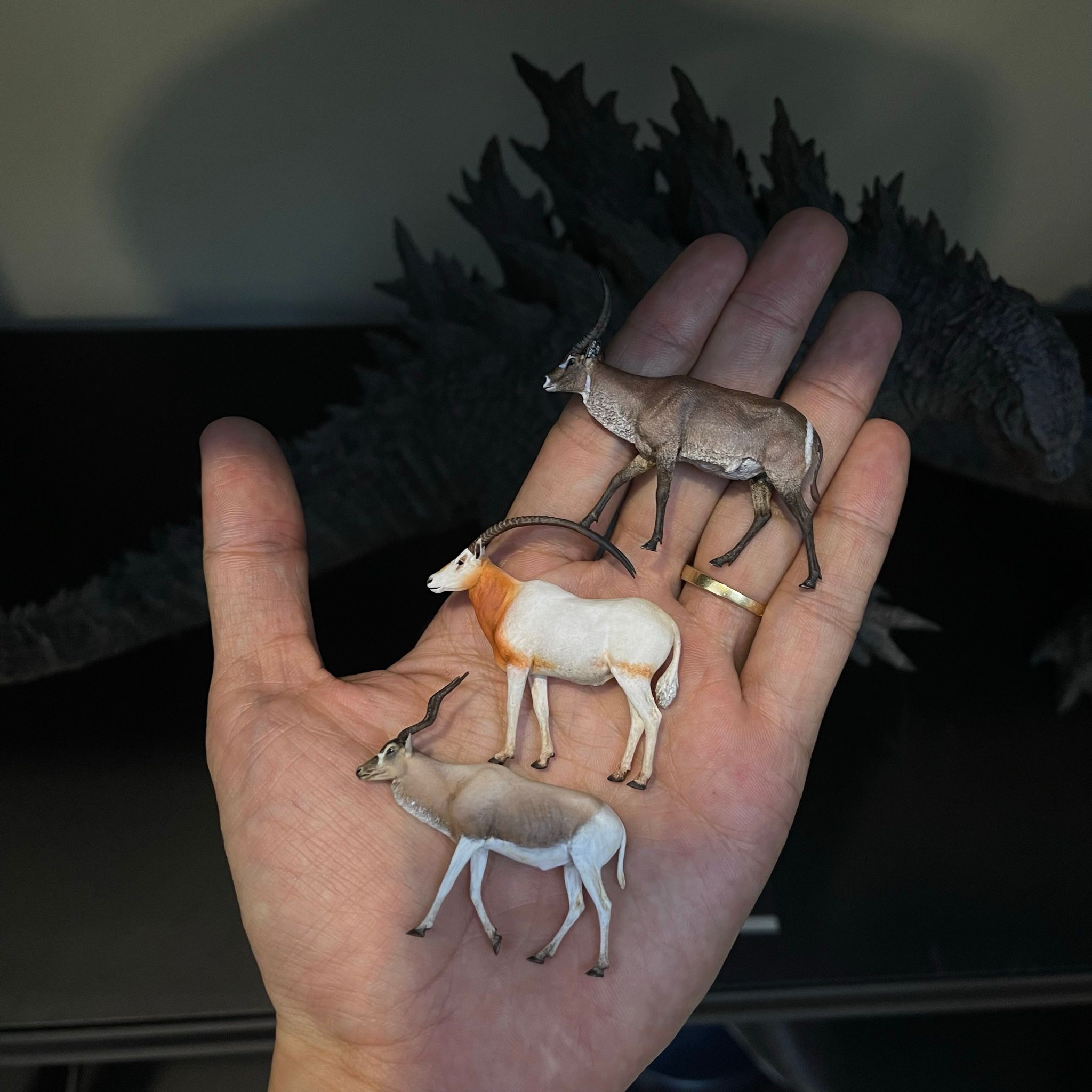  Mô hình linh dương trắng sừng mác scimitar oryx Tallrhino studio tỷ lệ 1/35. 