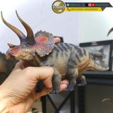  Mô hình Triceratops 1/35 Haolonggood studio. 