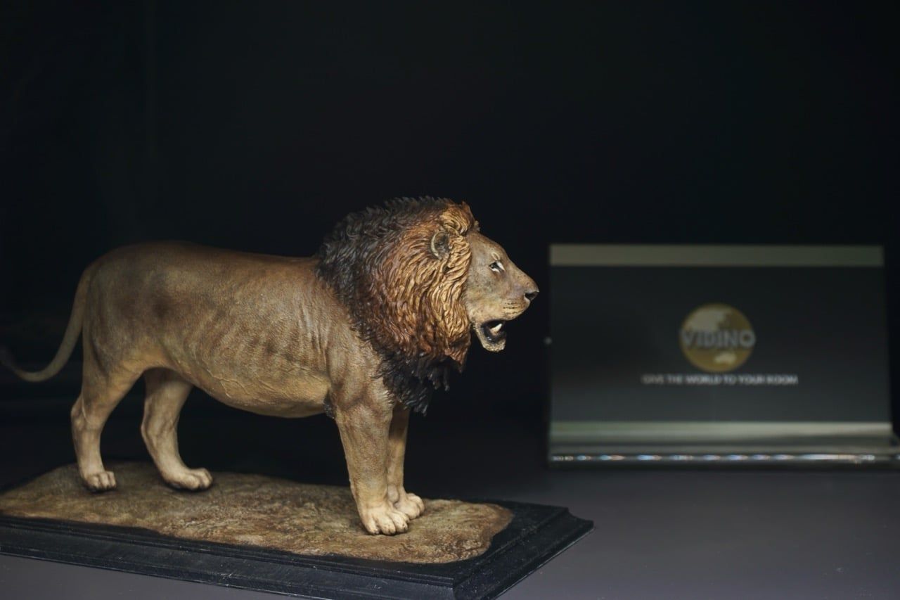  Mô hình Sư Tử châu phi Art Evolution A&E studio tỷ lệ 1/18x 