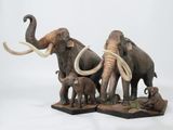  Mô hình loài mammuthus comlumbi DeClay studio tỷ lệ 1/20 & 1/35 