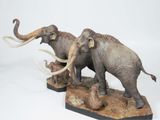  Mô hình loài mammuthus comlumbi DeClay studio tỷ lệ 1/20 & 1/35 