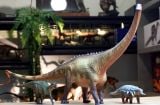  Mô hình khủng long cổ dài Diplodocus Haolonggood tỷ lệ 1/35 | 𝐕𝐈𝐃𝐈𝐍𝐎.𝐕𝐍. 