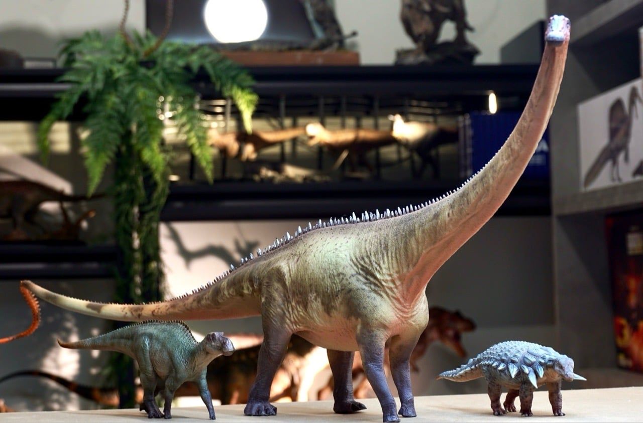  Mô hình khủng long cổ dài Diplodocus Haolonggood tỷ lệ 1/35 | 𝐕𝐈𝐃𝐈𝐍𝐎.𝐕𝐍. 