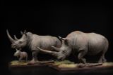  Mô hình động vật Tê giác trắng tỷ lệ 1/10 & 1/15 Declay studio. 