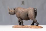  Mô hình Tê Giác Đen ZoaTusker Studio | 𝐕𝐈𝐃𝐈𝐍𝐎.𝐕𝐍. 