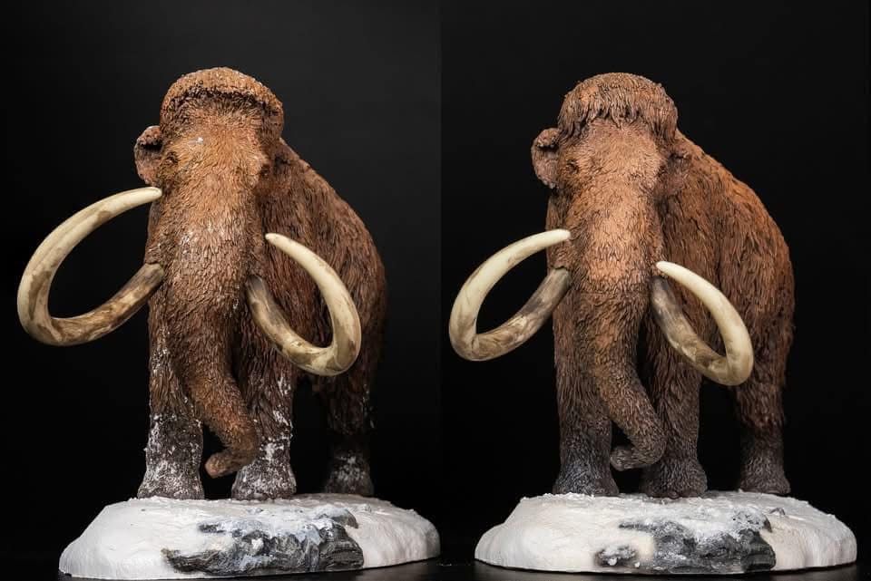  Mô hình Voi ma mút  kỷ băng Hà Mammuthus declay studio. 