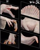  Mô hình Khủng long Spinosaurus Nammu benxin tỷ lệ 1/35 chính hãng | Vidino.vn 