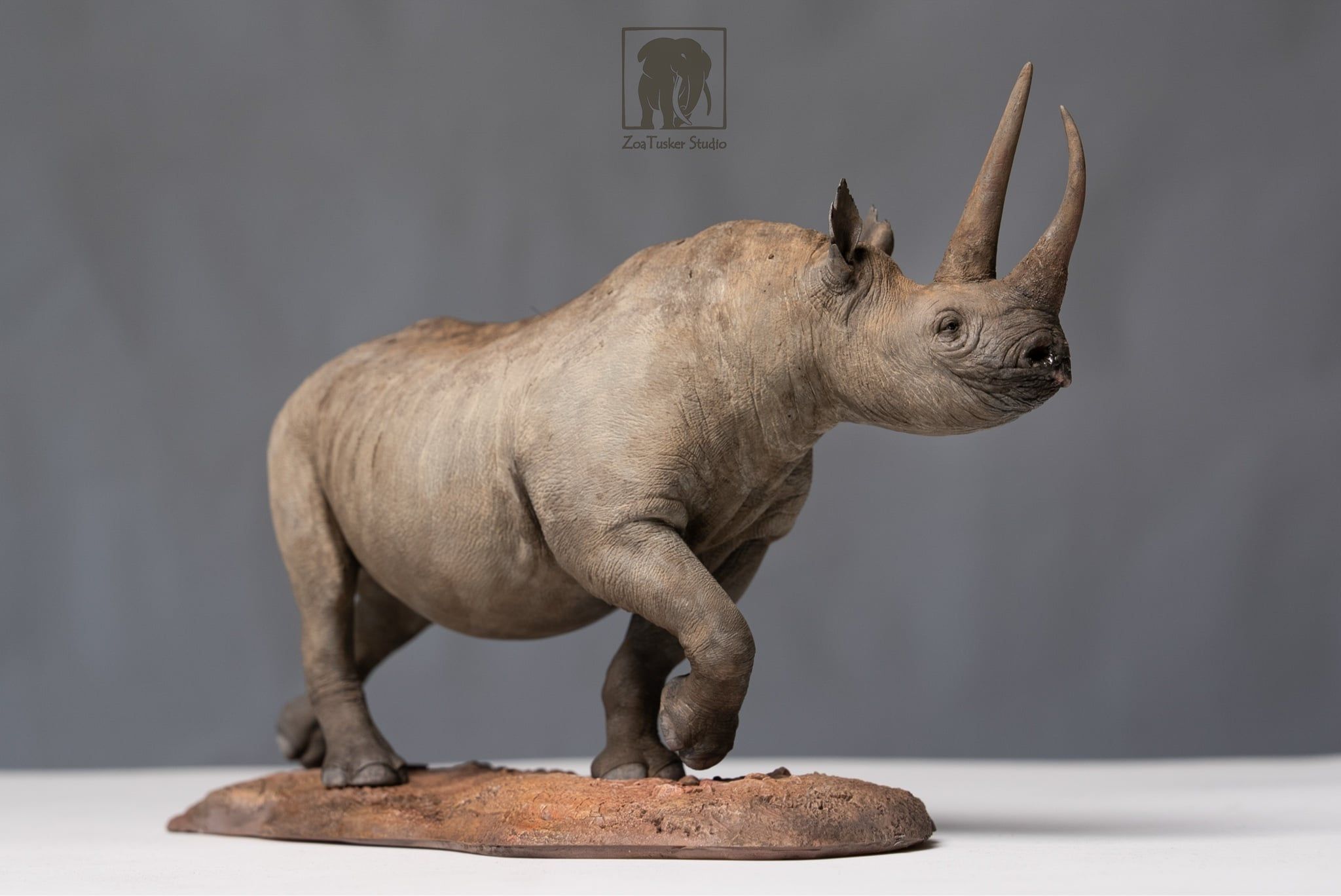  Mô hình Tê Giác Đen ZoaTusker Studio | 𝐕𝐈𝐃𝐈𝐍𝐎.𝐕𝐍. 