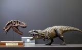  Mô hình siêu phẩm Trex (Tyranosaurus rex) Rebirth Dino Dream studio tỷ lệ 1/30-1/35  | 𝐕𝐈𝐃𝐈𝐍𝐎.𝐕𝐍. 