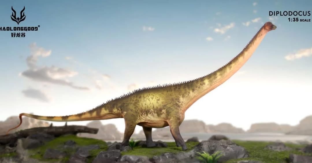  Mô hình khủng long cổ dài Diplodocus Haolonggood tỷ lệ 1/35 | 𝐕𝐈𝐃𝐈𝐍𝐎.𝐕𝐍. 