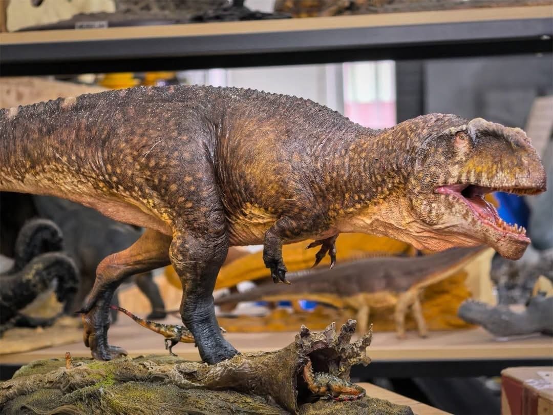  Mô hình khủng long răng cá mập Giganotosaurus Carolinii Scene Model Resin Statue By David Krentz | .. 