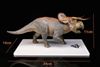  Mô hình Nasutoceratops tỷ lệ 1/35 hãng Dino Dream studio. 