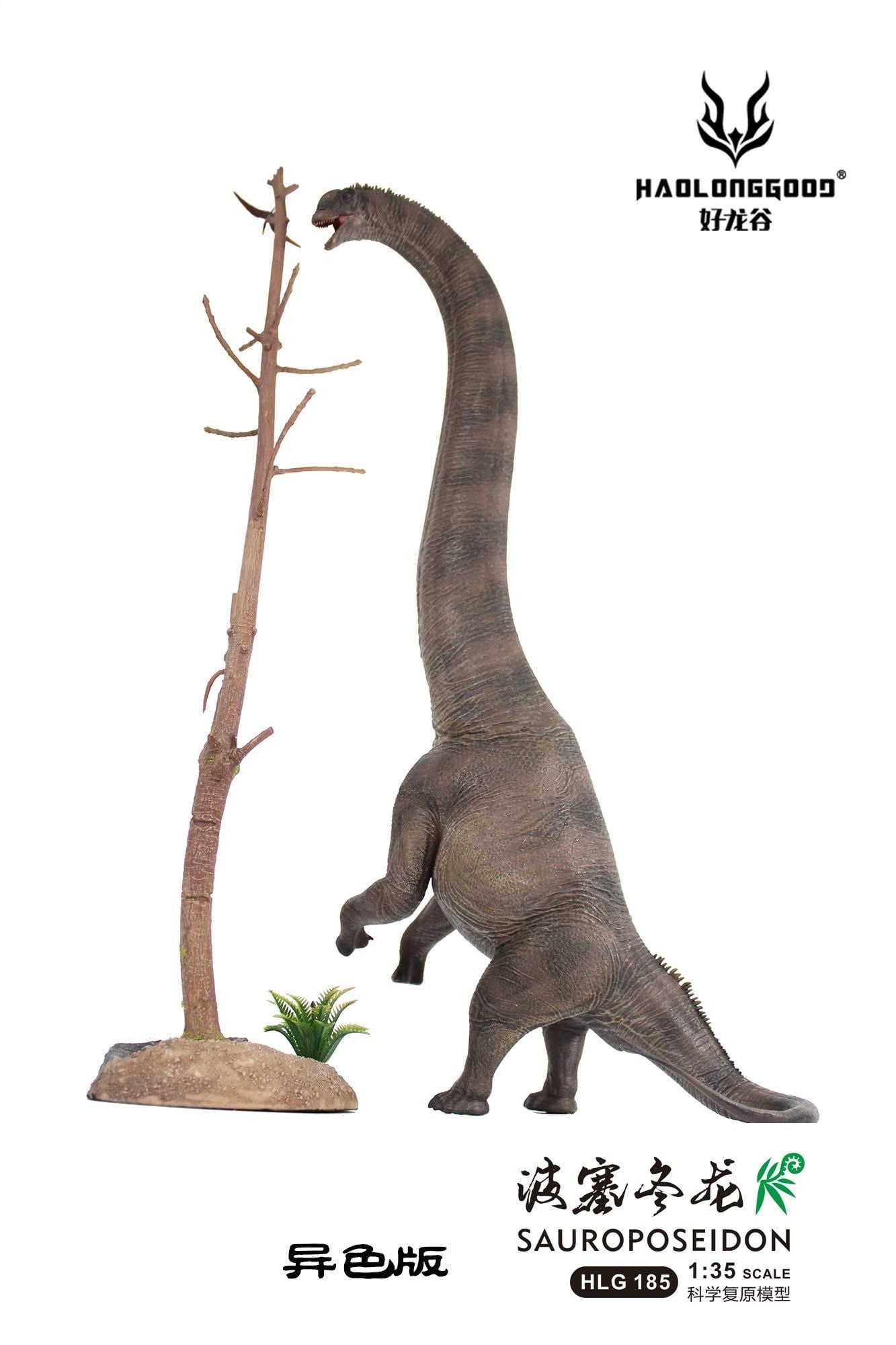  Mô hình tĩnh Sauroposeidon Haolonggood tỷ lệ 1/35 | 𝐕𝐈𝐃𝐈𝐍𝐎.𝐕𝐍 