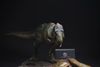  Mô hình Tyranosaurus rex Prime 1 studio 1/38. 