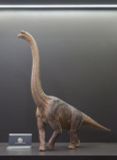  Mô hình Khủng long Brachiosaurus Wdragon studio 1:35. 