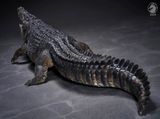  Mô hình cá sấu nước mặn Wdragon Studio tỷ lệ 1/12   | .. 