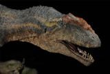  Mô hình khủng long răng cá mập Giganotosaurus Carolinii Scene Model Resin Statue By David Krentz | .. 