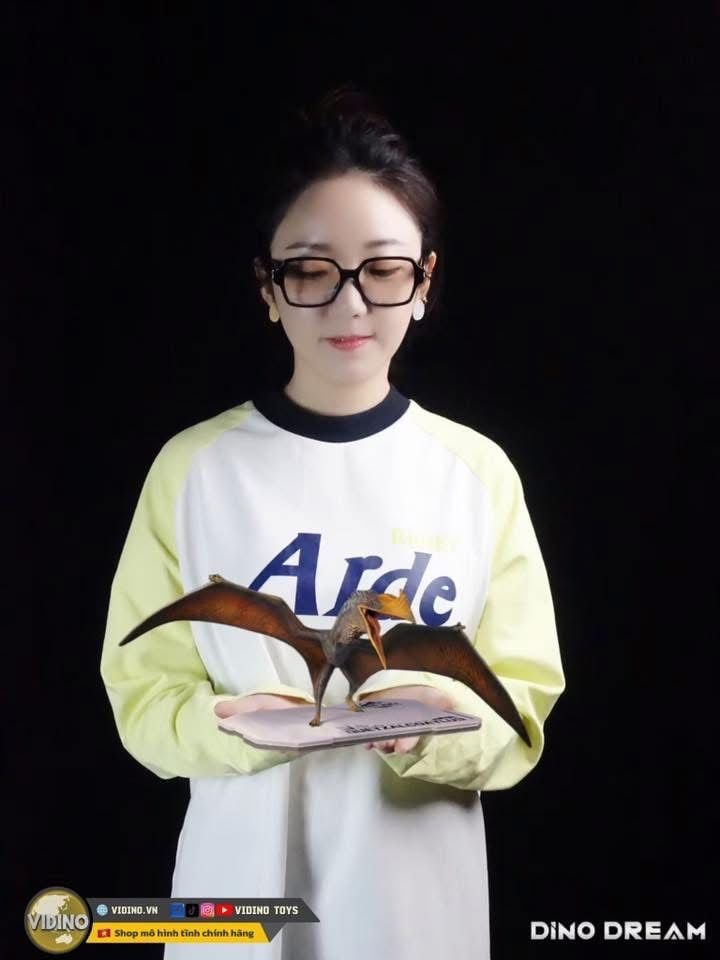  Mô hình Quetzalcoatlus Dino Dream studio. 