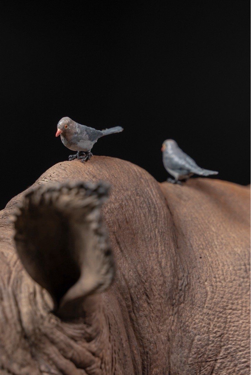  Mô hình động vật Tê giác trắng tỷ lệ 1/10 & 1/15 Declay studio. 