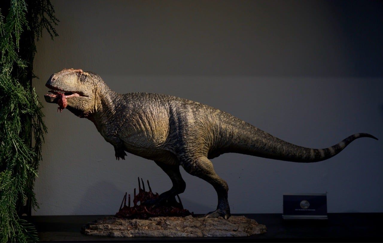  Mô hình khủng long giganotosaurus tỷ lệ 1/18 chính hãng AOKHAN studio. 