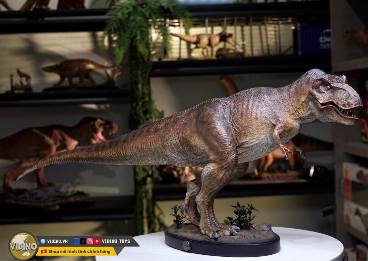  Mô hình khủng long bạo chúa Tyranosaurus rex (Trex) Wdragon 1/20 Jurassic Park. 