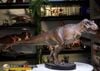  Mô hình khủng long bạo chúa Tyranosaurus rex (Trex) Wdragon 1/20 Jurassic Park. 