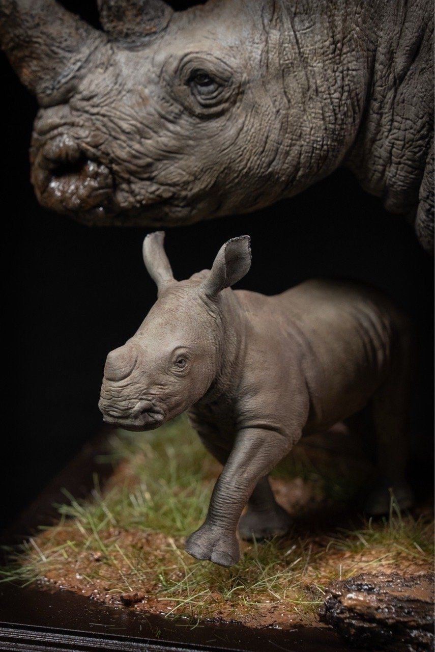  Mô hình động vật Tê giác trắng tỷ lệ 1/10 & 1/15 Declay studio. 