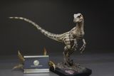  Mô hình Velociraptor bản quyền jurassic park 3 wdragon studio  | 𝐕𝐈𝐃𝐈𝐍𝐎.𝐕𝐍. 