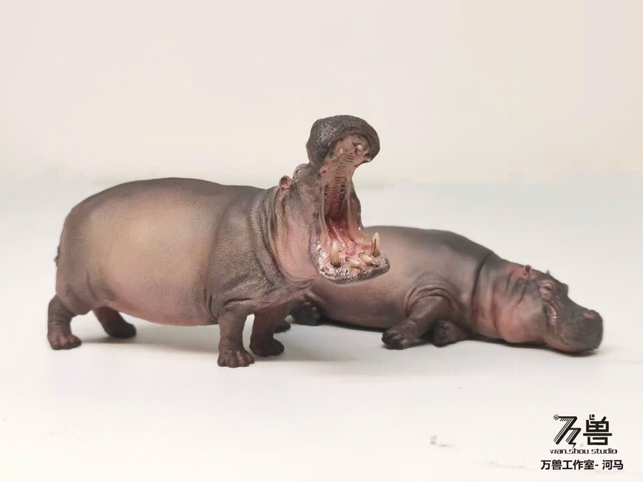  Mô hình Hà mã Wanshou studio | 𝐕𝐈𝐃𝐈𝐍𝐎.𝐕𝐍. 