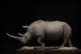  Mô hình động vật Tê giác trắng tỷ lệ 1/10 & 1/15 Declay studio. 