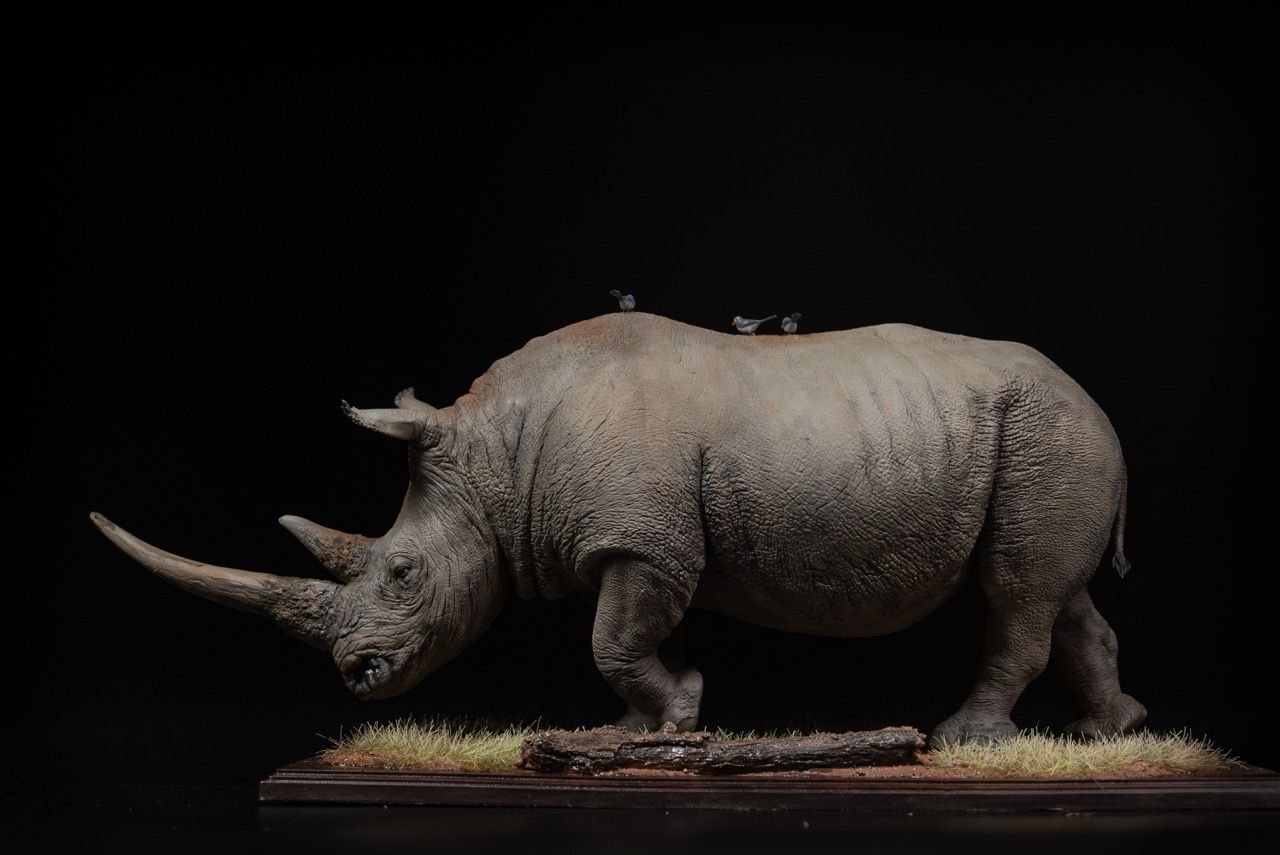  Mô hình động vật Tê giác trắng tỷ lệ 1/10 & 1/15 Declay studio. 