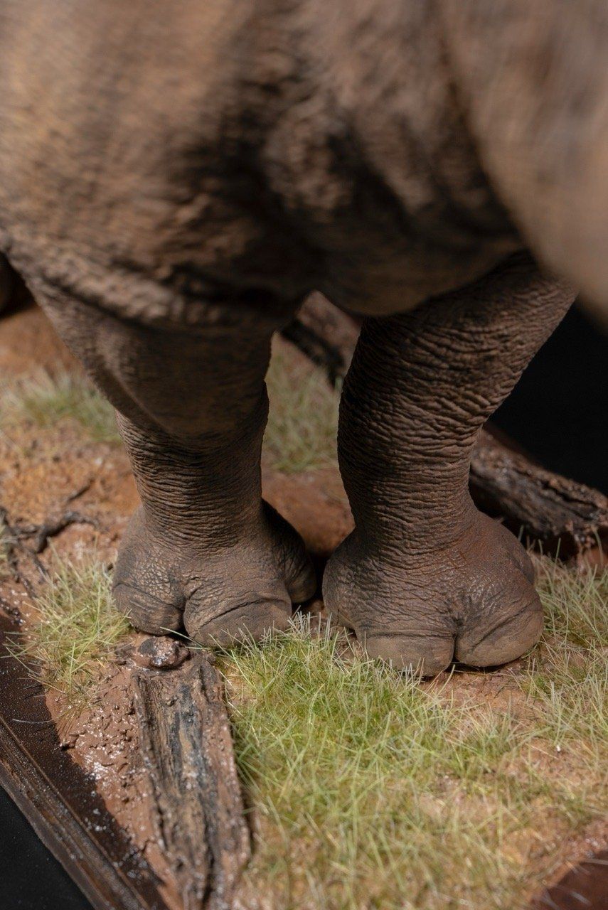  Mô hình động vật Tê giác trắng tỷ lệ 1/10 & 1/15 Declay studio. 