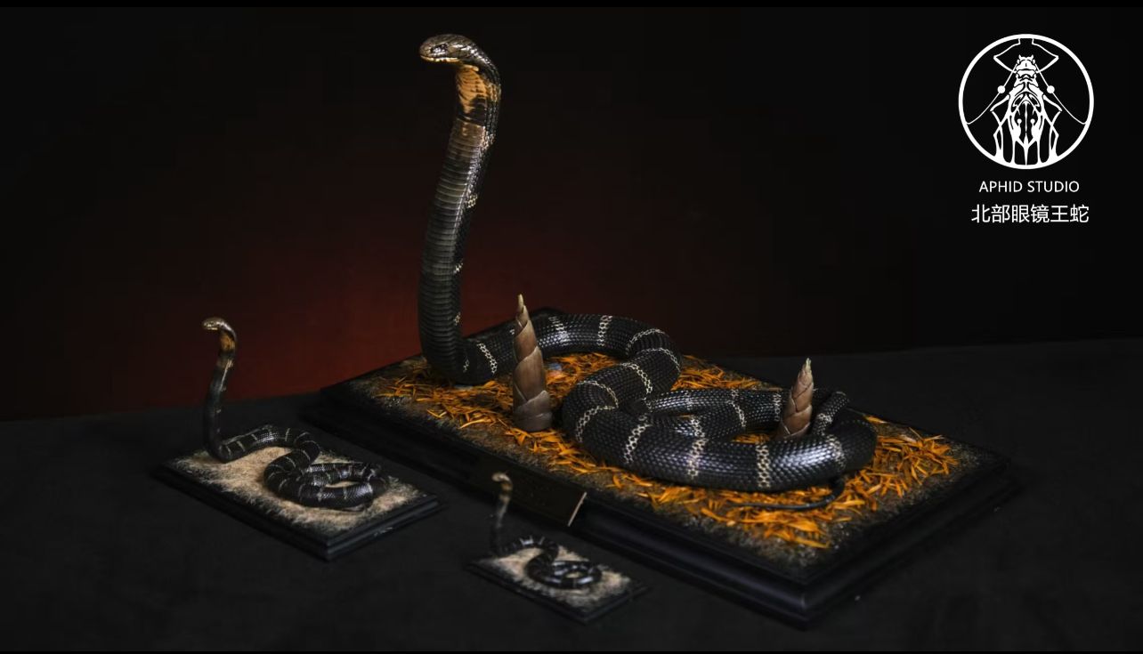  Mô hình Rắn hổ mang chúa phương bắc APHID studio | 𝐕𝐈𝐃𝐈𝐍𝐎.𝐕𝐍. 