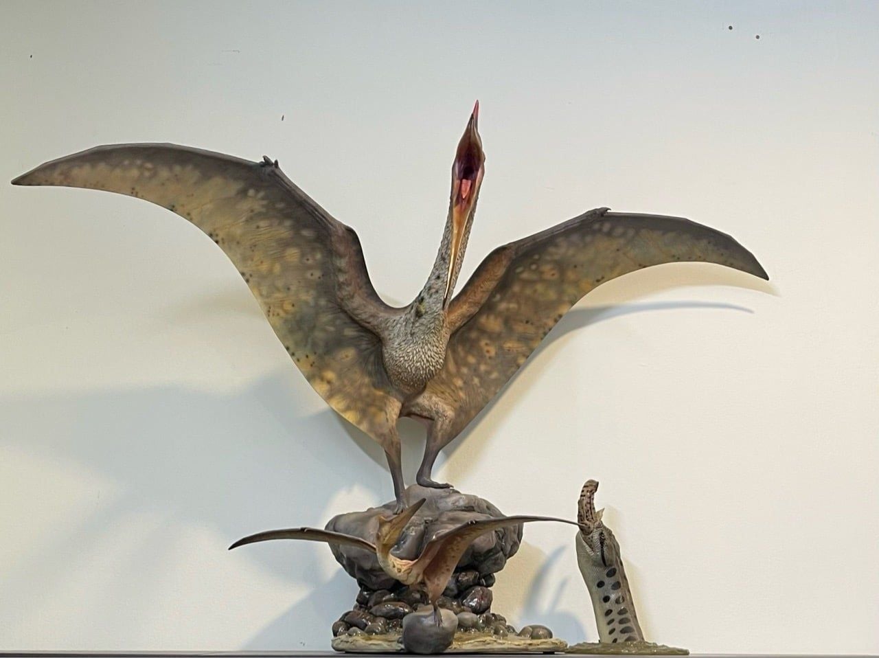  Mô hình loài quetzalcoatlus Musee studio tỷ lệ 1/10. 