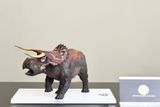  Mô hình Nasutoceratops tỷ lệ 1/35 hãng Dino Dream studio. 